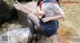 A woman in a school uniform sitting on a rock by a stream.